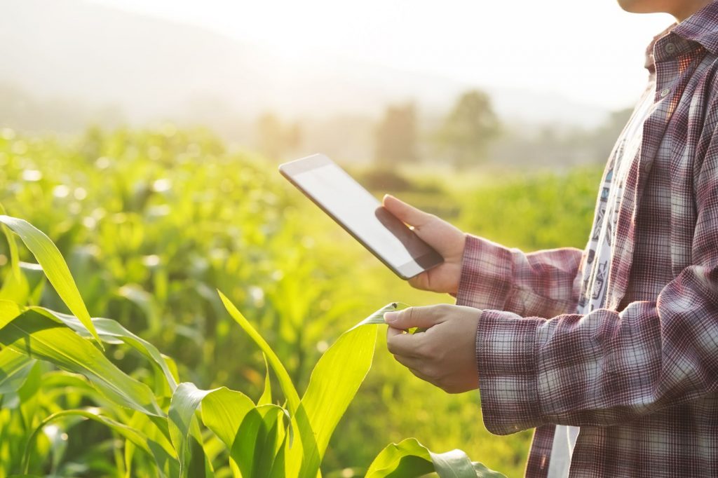 blockchain para agricultura no Brasil