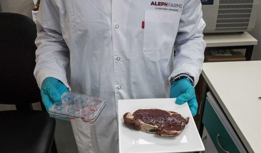 BRF investe em startup israelense para produção de carne cultivada